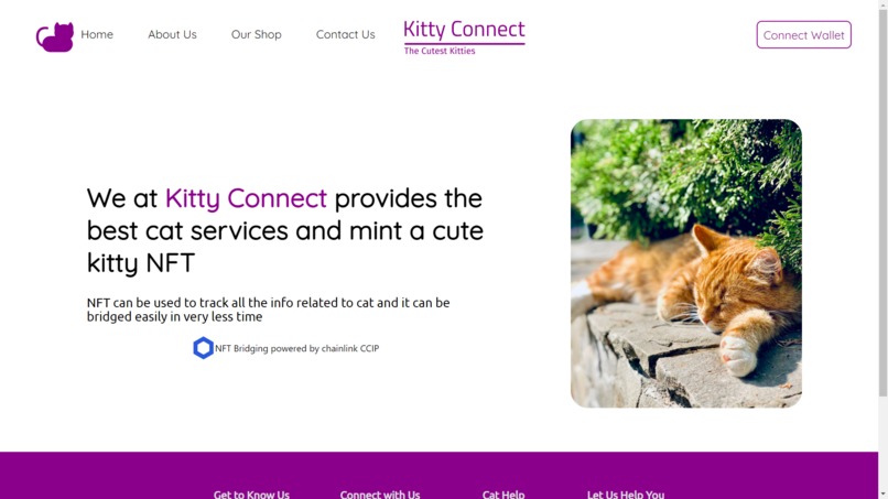 Kitty Connect – screenshot 1