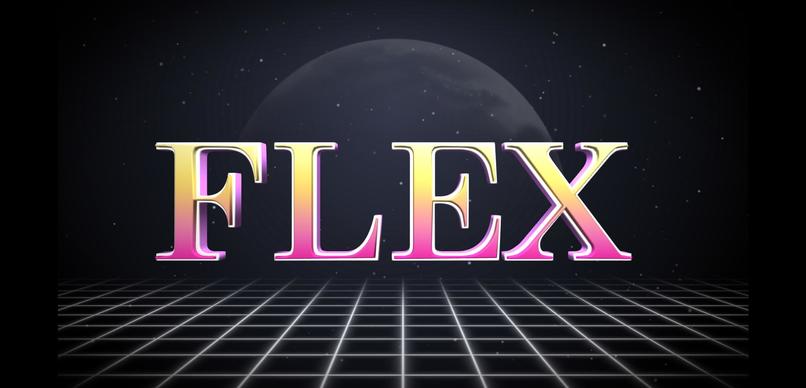 Flex – screenshot 1