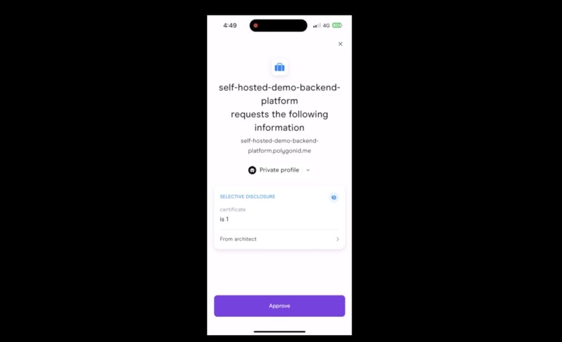 DesignVue – screenshot 8