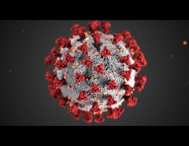 GLOBAL PANDEMIC – screenshot 1