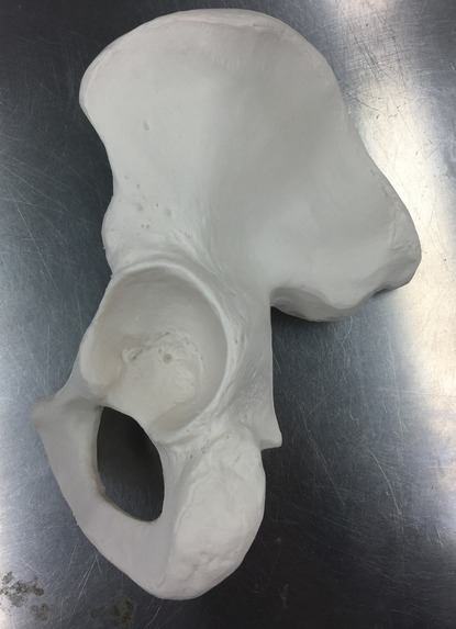 4D Printing in Healthcare  – screenshot 1