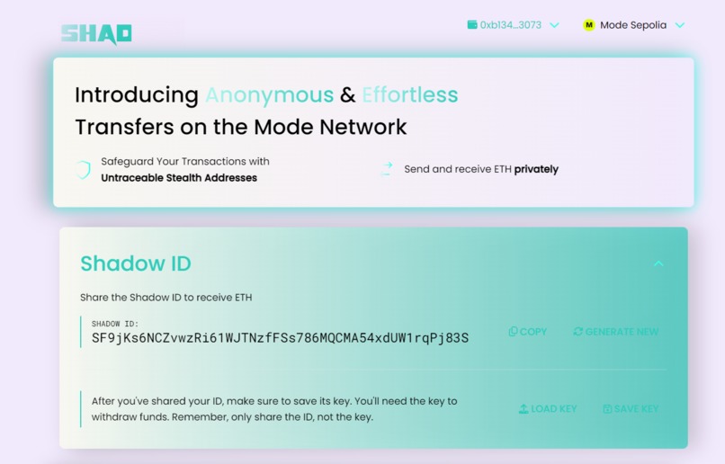 Shadow – screenshot 1