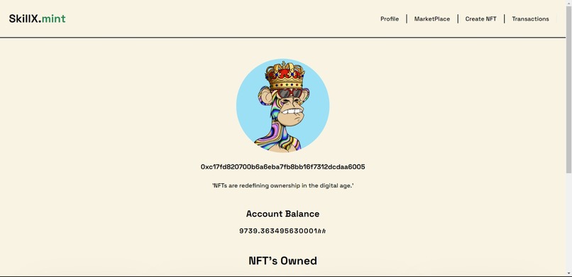 SkillX.mint – screenshot 2