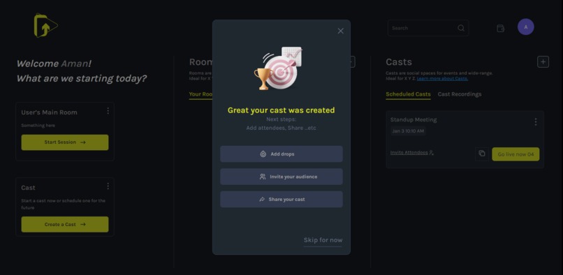 DECAST – screenshot 6