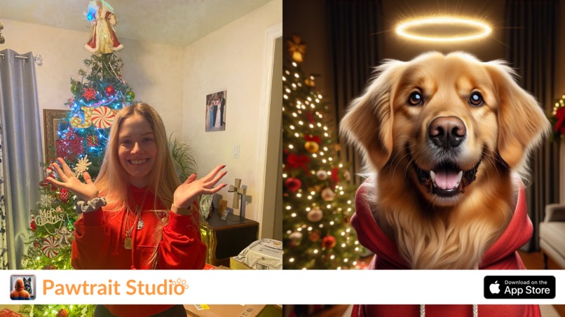 Pawtrait Studio – screenshot 5