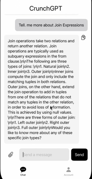 CrunchGPT – screenshot 2