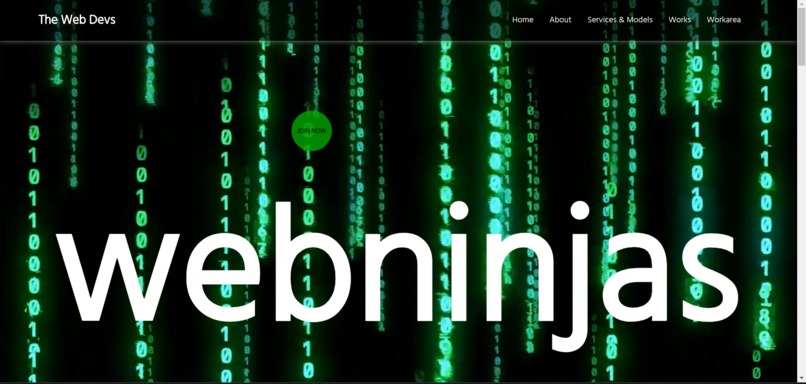 Web Ninjas – screenshot 1