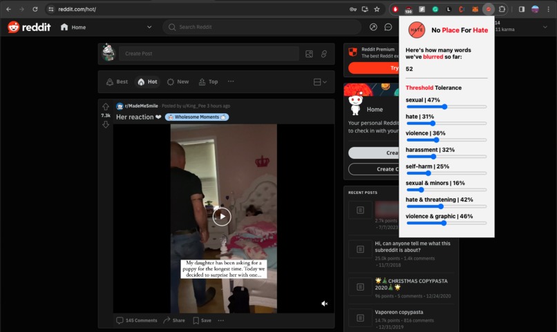 No Place For Hate – screenshot 1