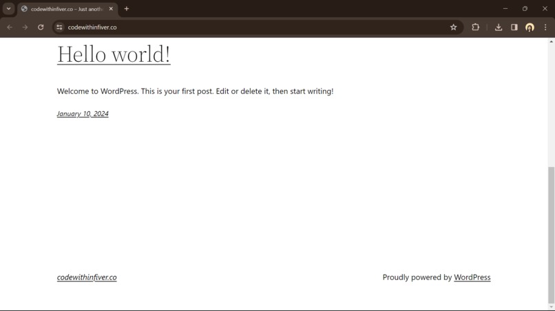 Custom Website! – screenshot 2