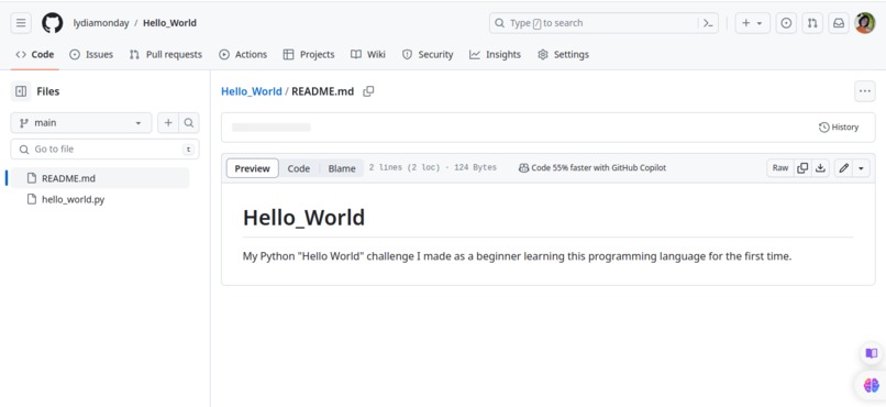 Hello World Project Using the Python Programming Language – screenshot 1