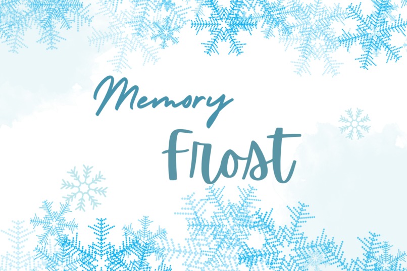 Memory Frost – screenshot 1
