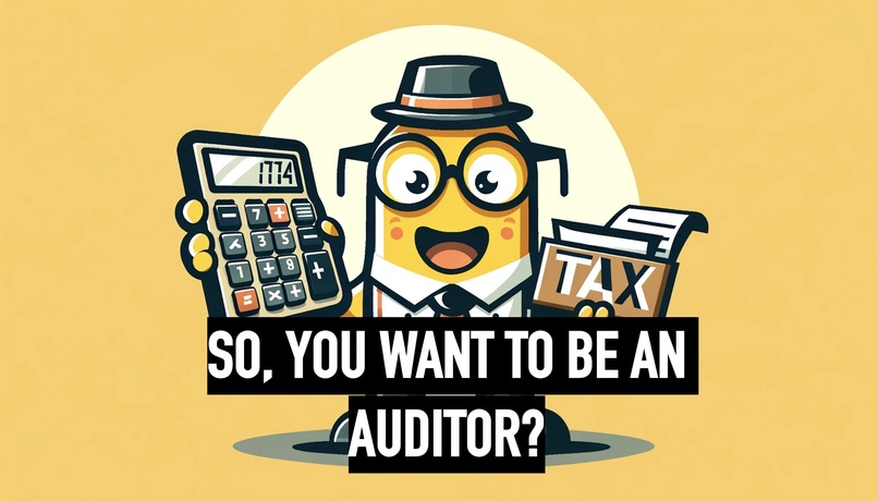 So, You Want To Be An Auditor? – screenshot 1