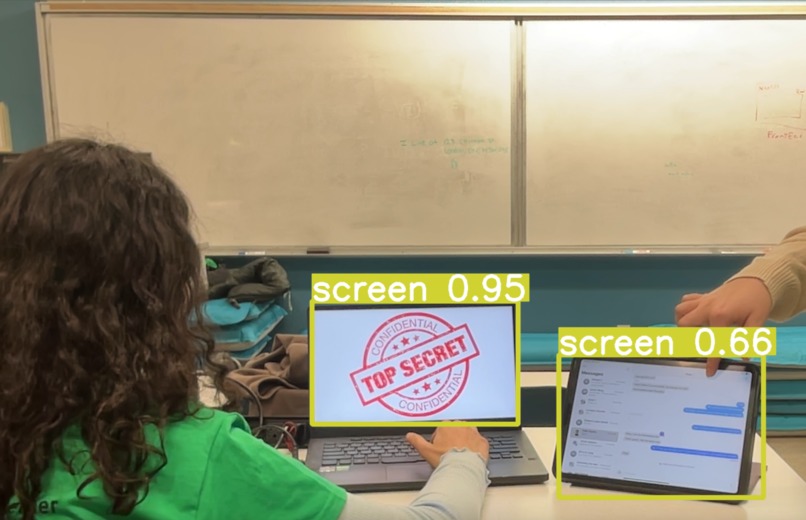 PrivaSee AI – screenshot 6
