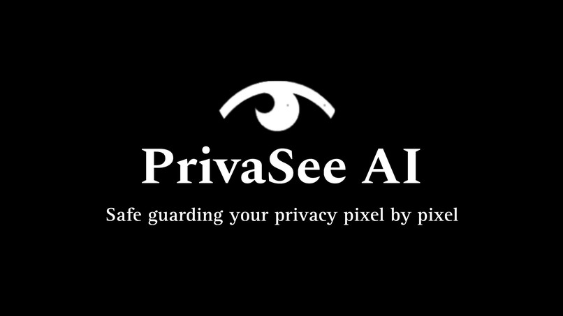 PrivaSee AI – screenshot 1