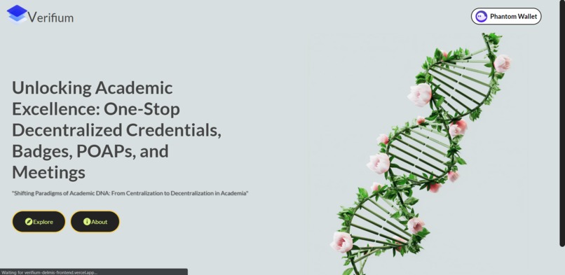 VerifiumDelmis – screenshot 1