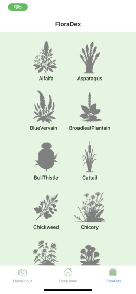 WhatTheFlora! – screenshot 3