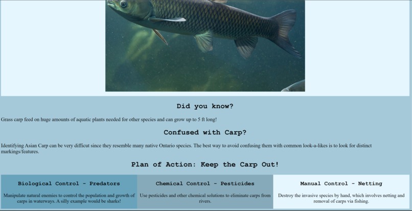 Ocean Invaders – screenshot 3