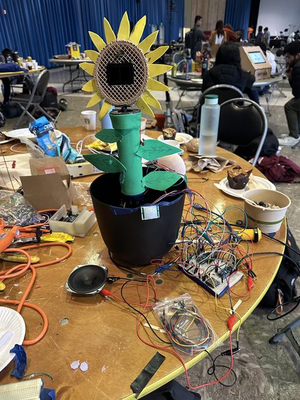 Red Light, Green Light (Sunflower Edition) – screenshot 1