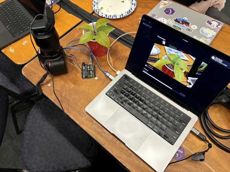 MOIST - Monitor Online Interactive System for Thirsty Plants – screenshot 3