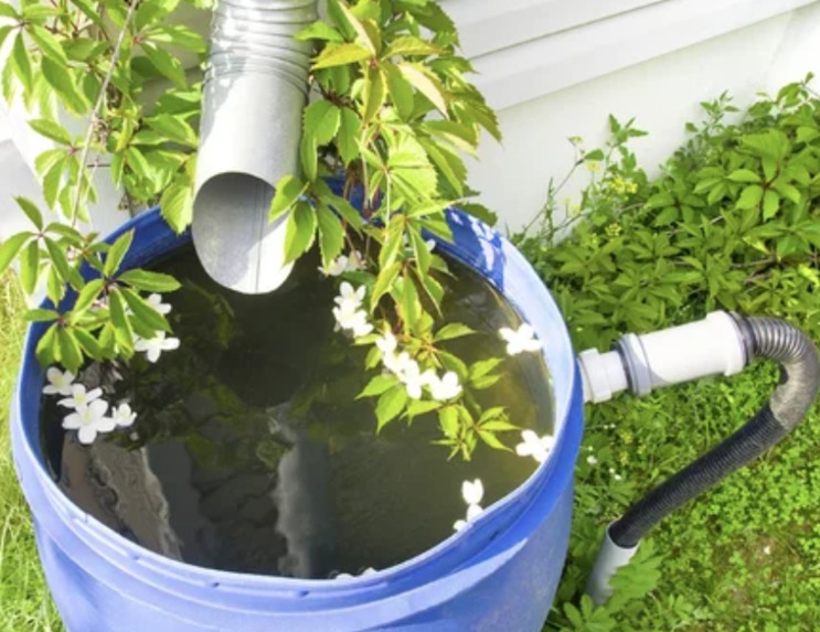 RainSaver – screenshot 1