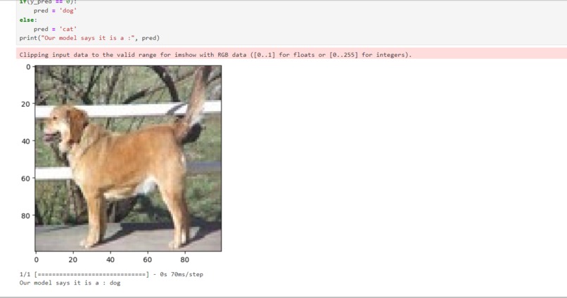 Animal Recognition using Helium Drone – screenshot 5