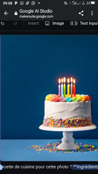 ASOJEC Niger  – screenshot 6