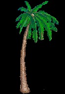 3D Car Game – screenshot 5