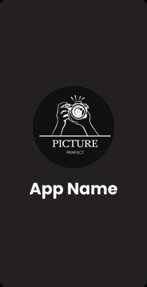 Picture Perfect – screenshot 1