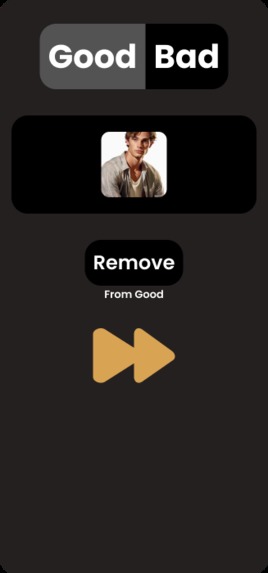 Picture Perfect – screenshot 3