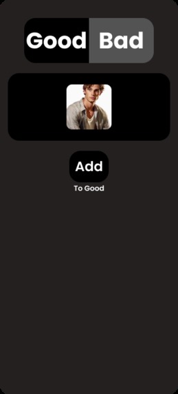 Picture Perfect – screenshot 4