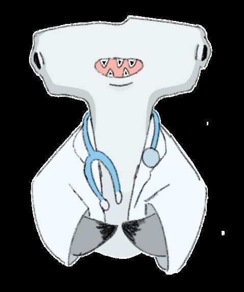 Sammy Support Crew – screenshot 6