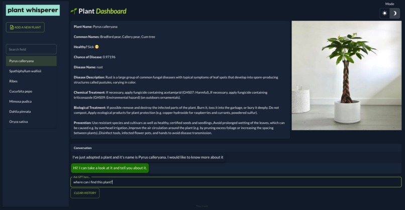 Plant Whisperer – screenshot 4