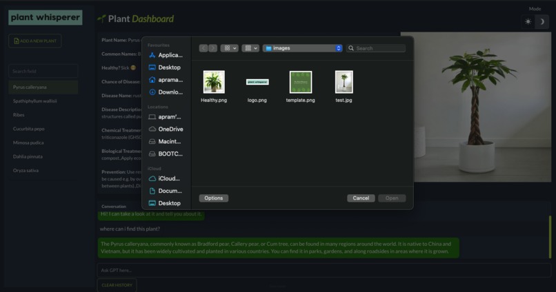 Plant Whisperer – screenshot 3