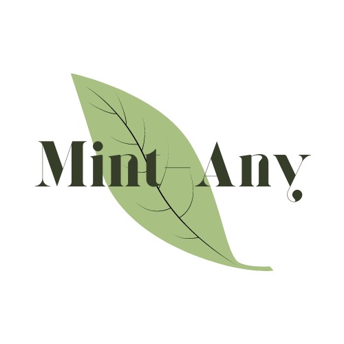 Mint-Any – screenshot 1