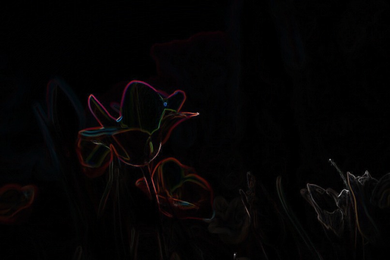 Musimage – screenshot 2