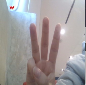 Sign Language Translator – screenshot 1