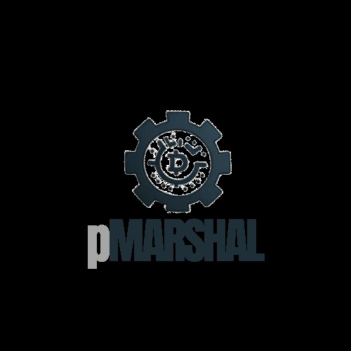 pMarshal – screenshot 1