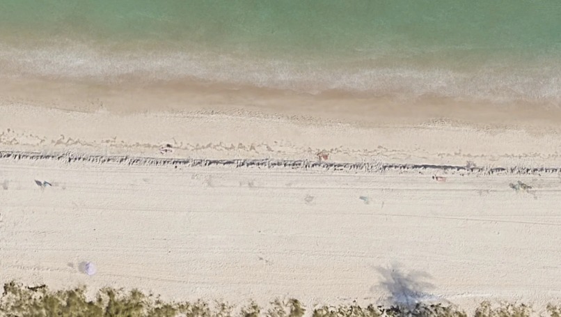 ShoreSweep – screenshot 2