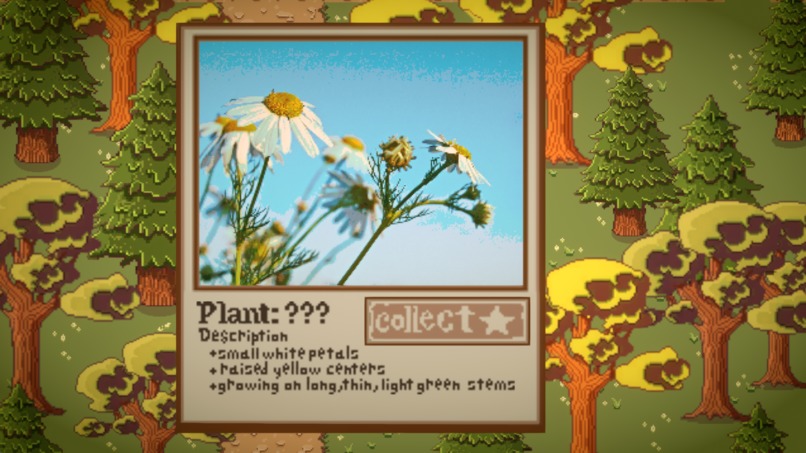 Backyard Foragers – screenshot 6