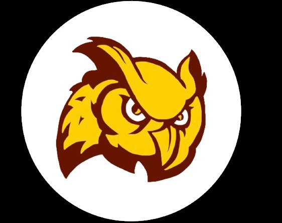 #41EduOwl – screenshot 3