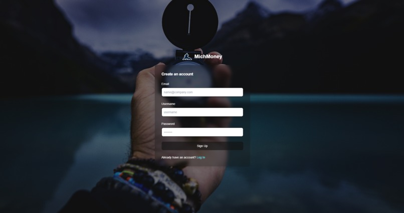 MichMoney – screenshot 3