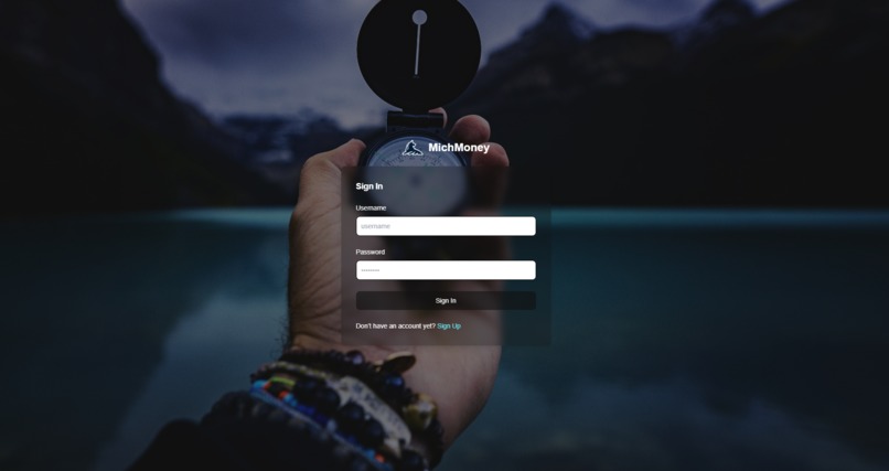 MichMoney – screenshot 2