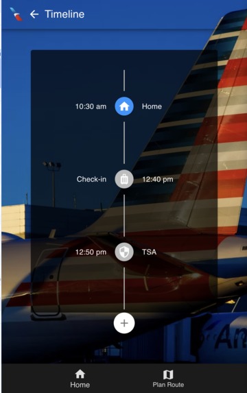 GateReady – screenshot 2