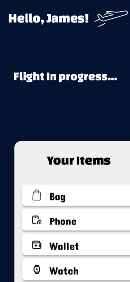 Baggage Buddy – screenshot 2