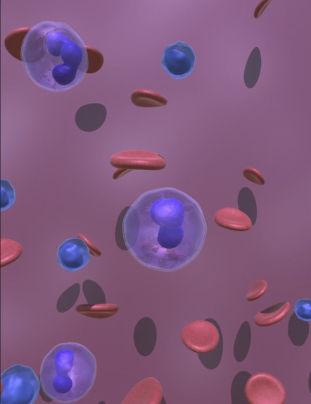 EduVision – screenshot 2