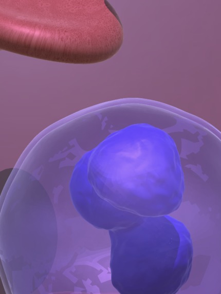 EduVision – screenshot 3