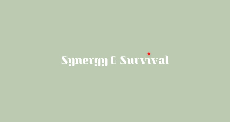 Synergy & Survival – screenshot 1