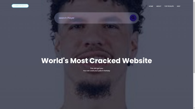 Lamelo's Balls – screenshot 1