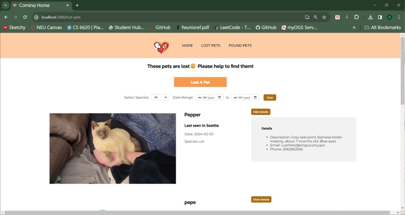 Coming Home – screenshot 4