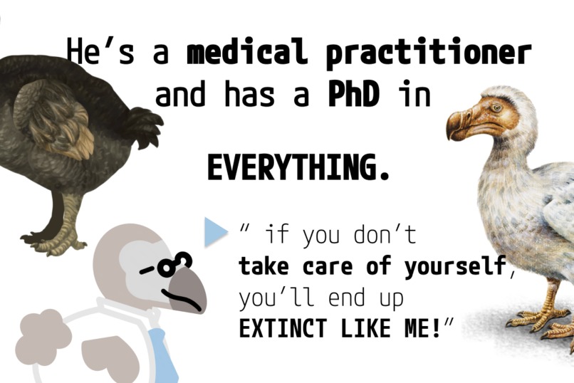 Dr. DoDo – screenshot 2